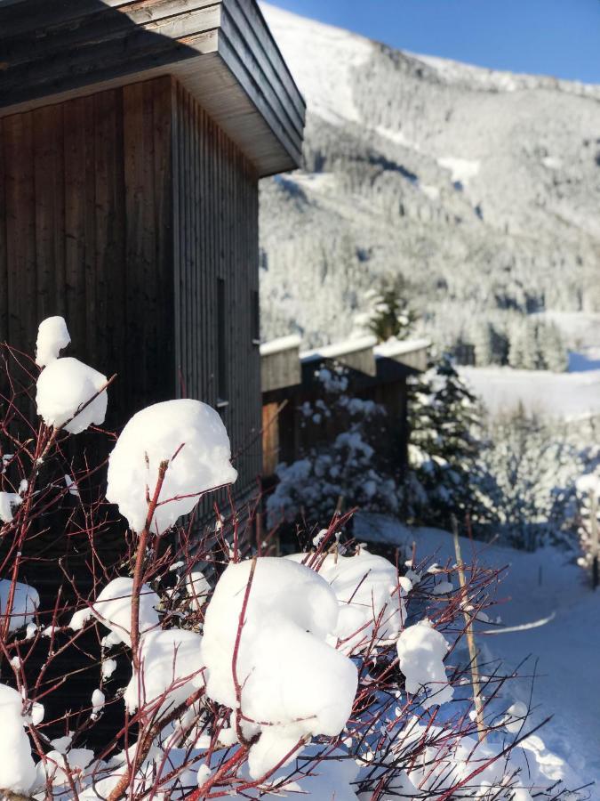 Chalet Sternwarte Hohentauern Kültér fotó