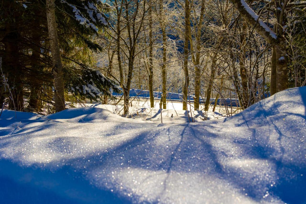 Chalet Sternwarte Hohentauern Kültér fotó