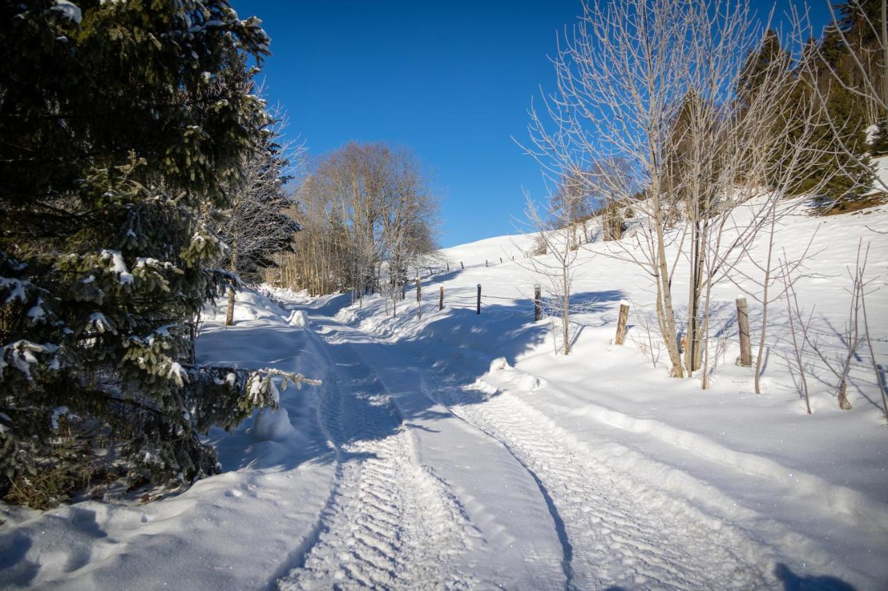 Chalet Sternwarte Hohentauern Kültér fotó